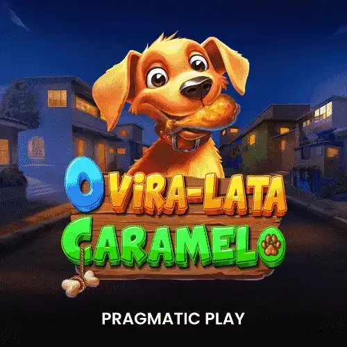 playdingo